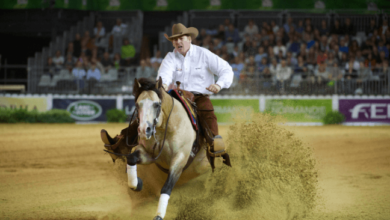 What Are the Compulsory Movements in Reining Patterns?