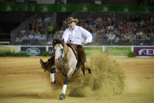 What Are the Compulsory Movements in Reining Patterns?