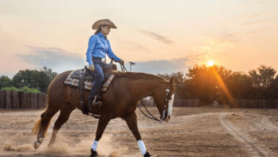 Who Are Some Renowned Reining Trainers?