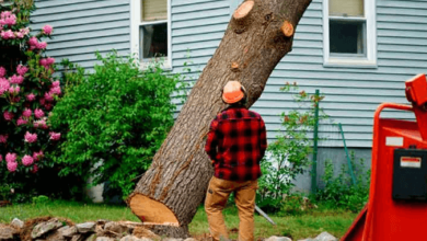 Tree Removal on Private Property