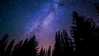 Cute:5wbialiso5e= Galaxy Wallpaper