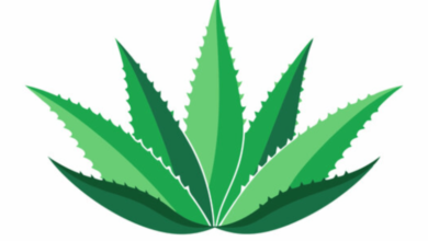 Logo:78rtlybfuta= Weed Symbol