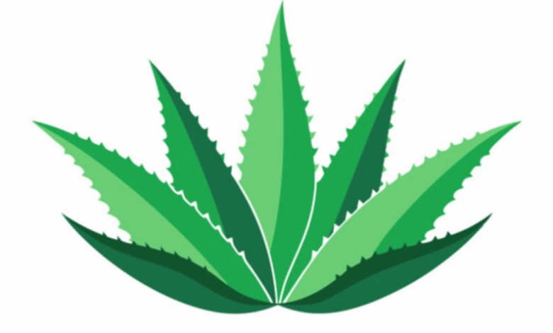 Logo:78rtlybfuta= Weed Symbol