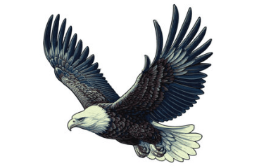 Logo:8crach2vmhc= American Eagle