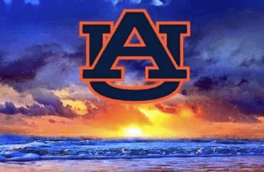 Logo:8f8lw3j0xcs= Auburn University