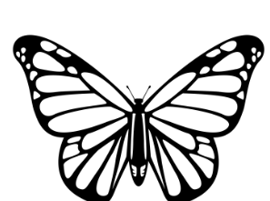 Printable:4l2kwktgk5y= Butterfly Template