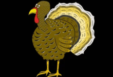 Transparent:Fkfdh-5s1sg= Thanksgiving Turkey