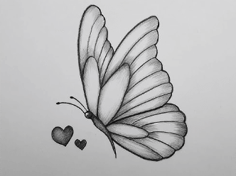 Drawing:5dlmdowxula= Butterfly Pictures