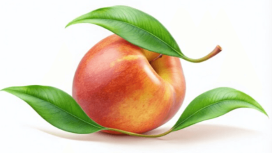 Clipart:Sak7dor2moy= Peach