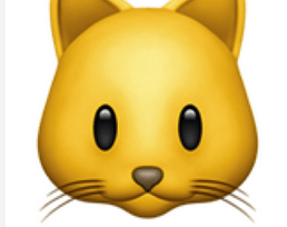 Emoji: Cat Copy and Paste