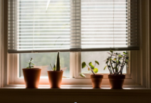 Top Reasons to Upgrade Your Home Windows With Blinds