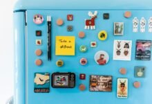 audience magnet and traffic engine