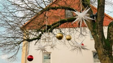 celestial network identifier 657131394