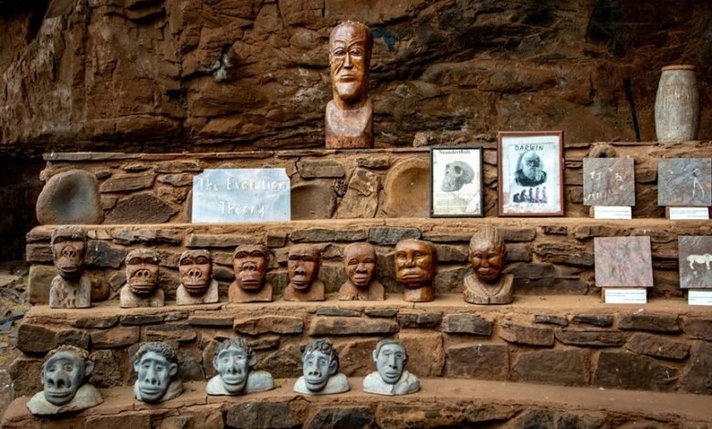 growth and authority evolution