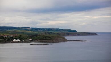 limitless edge expansion conversion