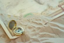 seo pathfinder marketing apex release