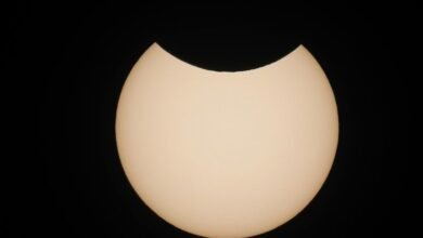 solar growth node 902113981