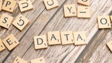 data guide toll free meaning revealing