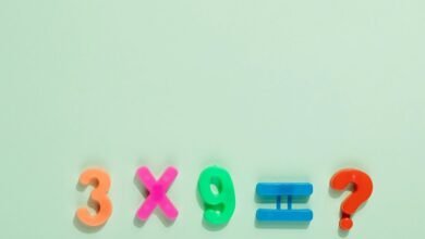 numeric insight begin 81x86x77