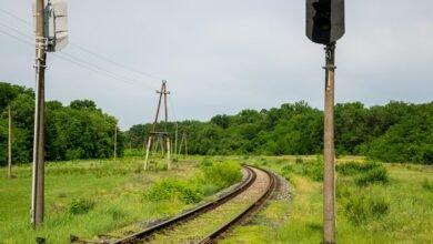 signal horizon caller identity insights unlocking