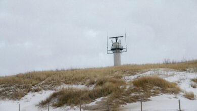 signal radar start phone numbers revealed