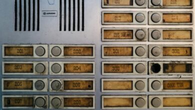 smart insight start unlocking contact lookup