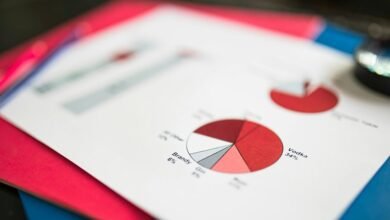 data verification report identifiers