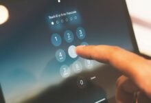network record check multiple ids disclosed
