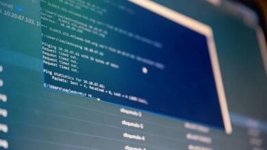 web system analysis ids and usernames list