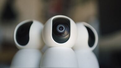 ip address ownership and security details
